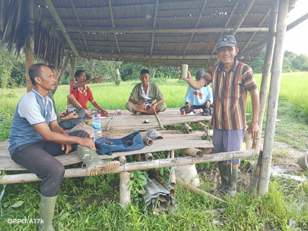 Tradisi Salawat Padi Oleh Petani Simpang Abail Sebagai Ungkapan Syukur Sebelum Panen.